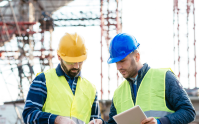 Construction Defaults: The Need for Expert Advice