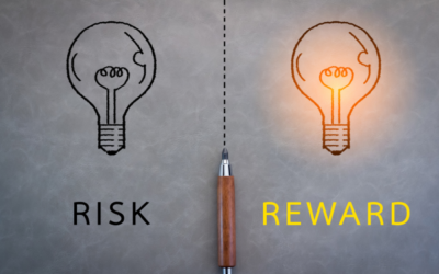 Risk, Risk Management and Reward in Project Execution